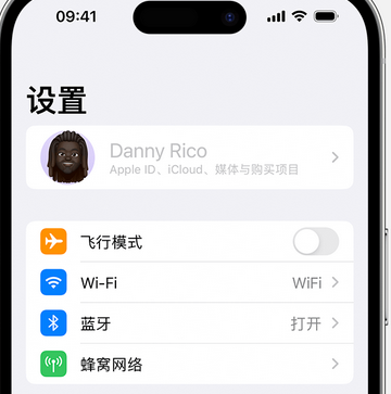 南城街道appleID维修服务iPhone设置中Apple ID显示为灰色无法使用 