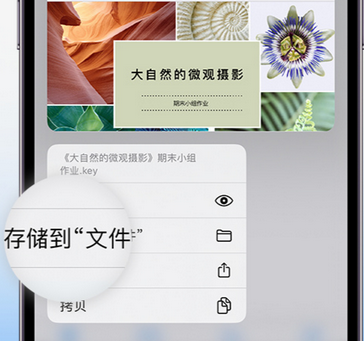 南城街道apple维修中心分享iPhone文件应用中存储和找到下载文件