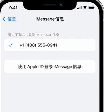 南城街道apple维修iPhone上无法正常发送iMessage信息 