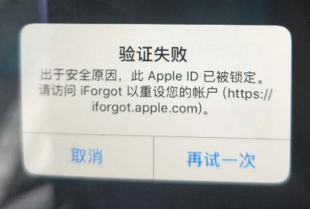 南城街道iPhone维修分享iPhone上正常登录或使用AppleID怎么办 