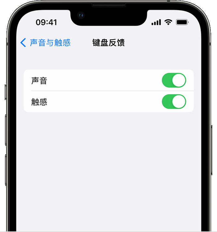 南城街道苹果14维修店分享如何在 iPhone 14 机型中使用触感键盘 