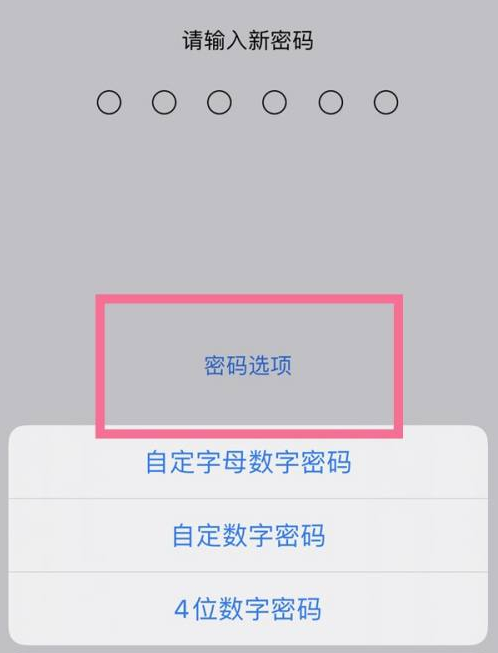 南城街道苹果14维修分享iPhone 14plus设置密码的方法 