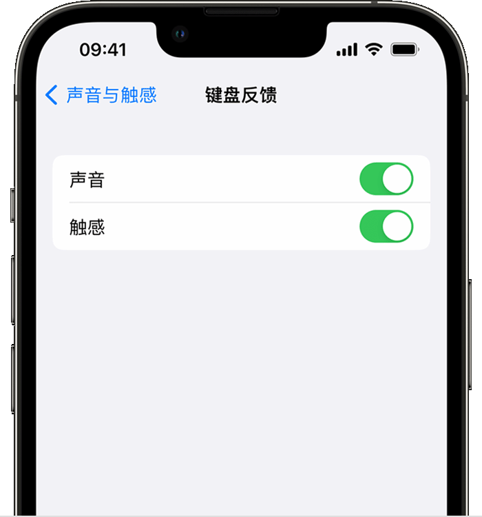 南城街道苹果14维修分享iPhone 14 系列机型如何开启键盘声音或触感反馈 