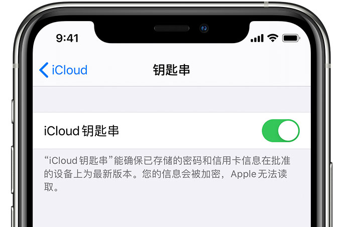 南城街道苹果手机维修分享在 iPhone 上开启 iCloud 钥匙串之后会储存哪些信息 