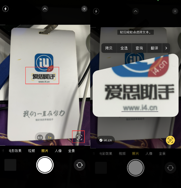 南城街道苹果手机维修分享升级iOS 16后如何通过相机翻译文本 