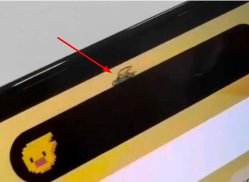 南城街道苹果14维修分享iPhone 14 Pro Max灵动岛怎么养宠物 
