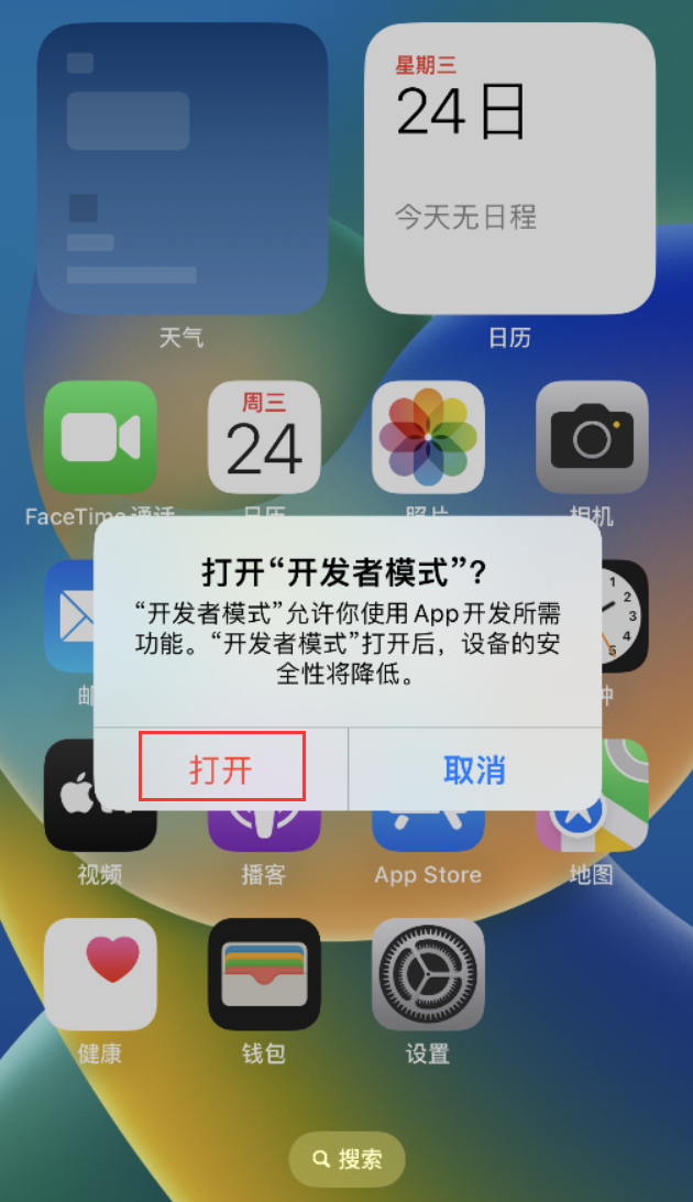 南城街道苹果手机维修分享如何打开开发者模式 
