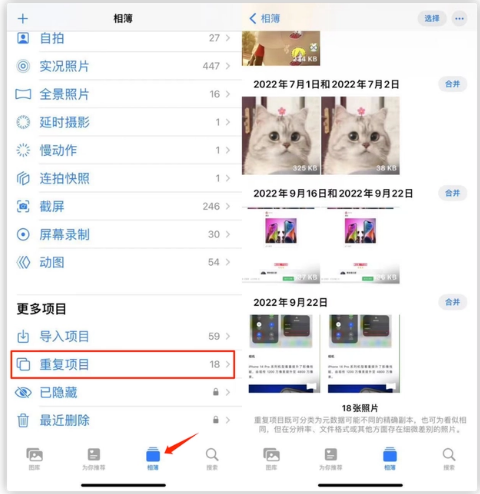 南城街道苹果手机维修分享iOS 16 中相册重复项目功能使用方法 