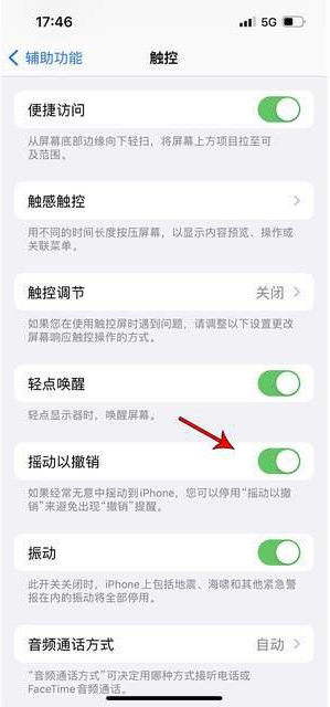 南城街道苹果手机维修分享iPhone手机如何设置摇一摇删除文字 