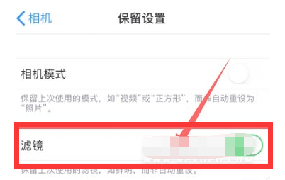 南城街道苹果13维修分享iPhone13拍照有绿点是怎么回事 