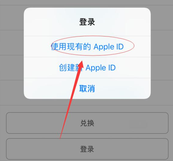 南城街道苹果手机维修分享两台iPhone设备可以同时登录一个Apple ID吗 