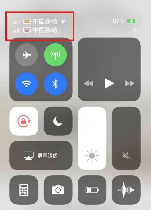 南城街道苹果手机维修分享为 iPhone 12 双卡设置标签 