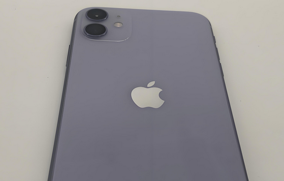 南城街道苹果11系统维修分享iPhone11手机系统崩溃无法开机如何解决